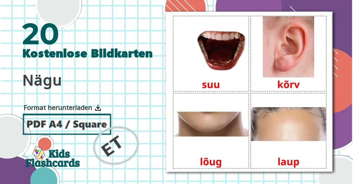 20 Bildkarten für Nägu