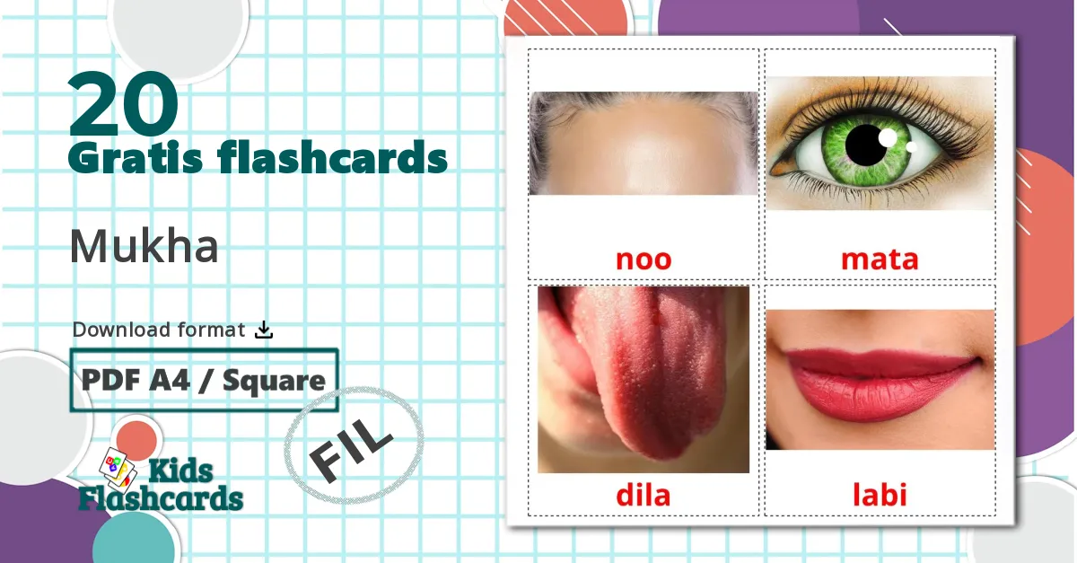 20 Mukha billedkort for børn