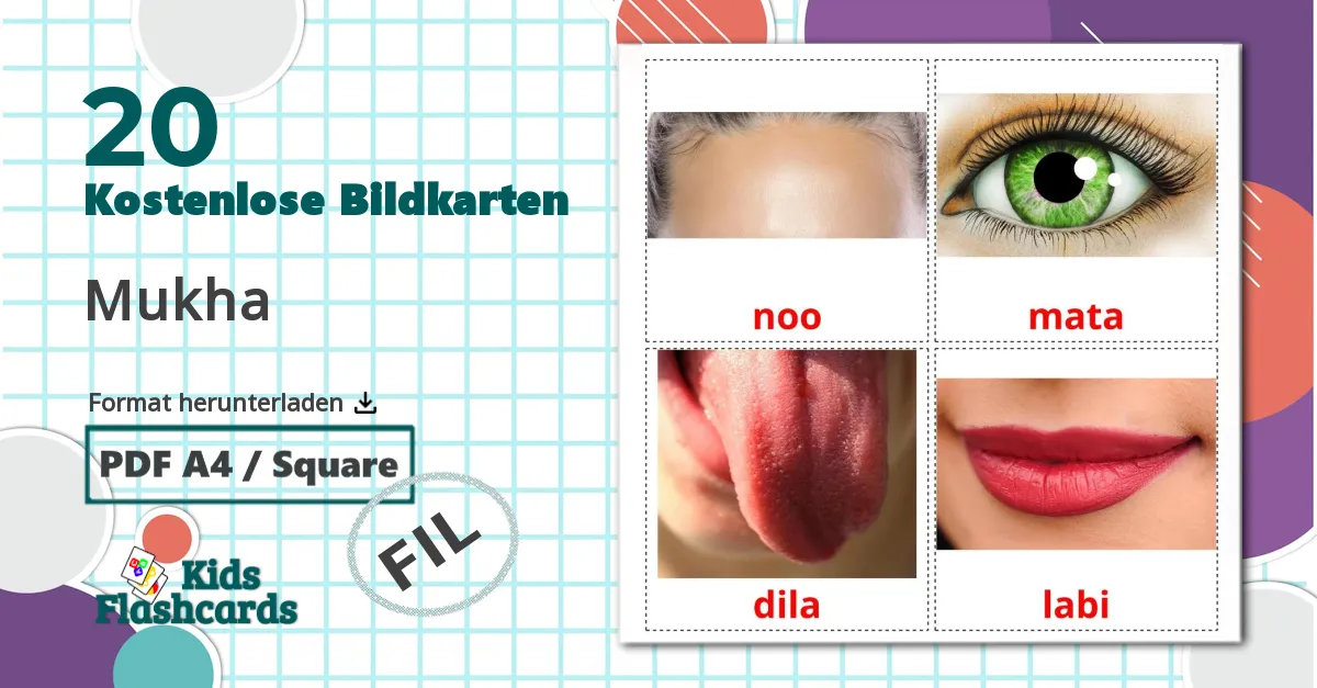 20 Bildkarten für Mukha