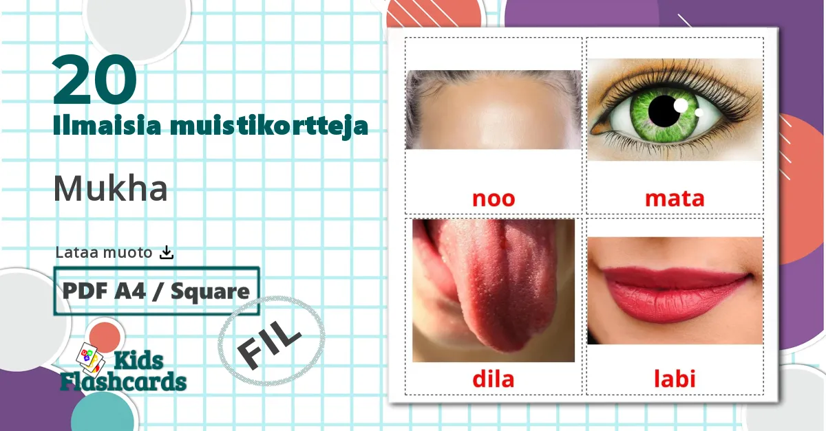 20 Mukha lasten kuvakortit