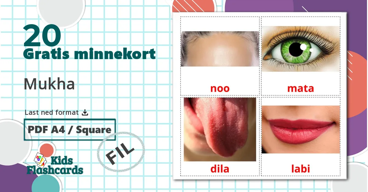 20 Mukha bildekort