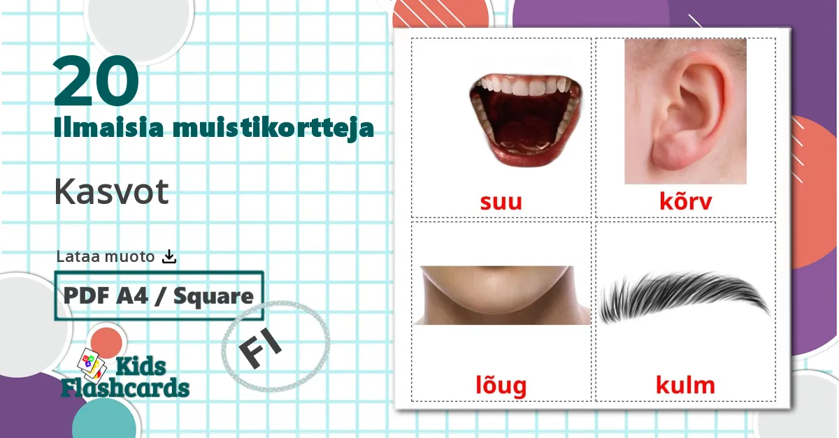 20 Kasvot lasten kuvakortit