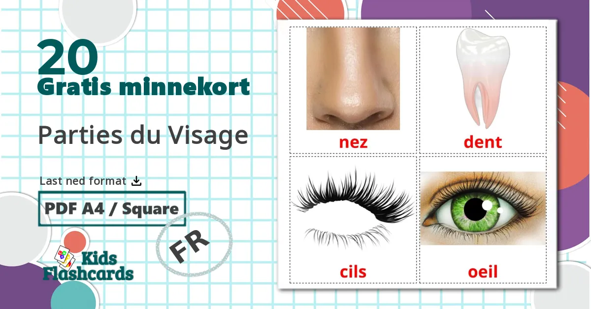 20 Parties du Visage bildekort