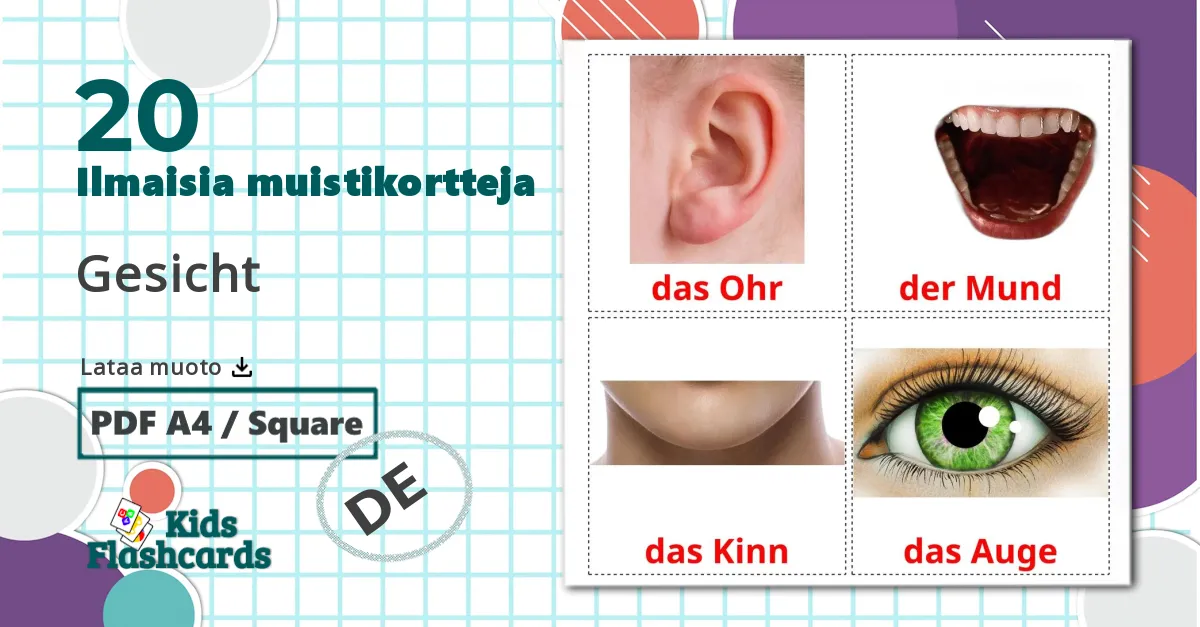 Partes de la Cara - saksa sanastokortit