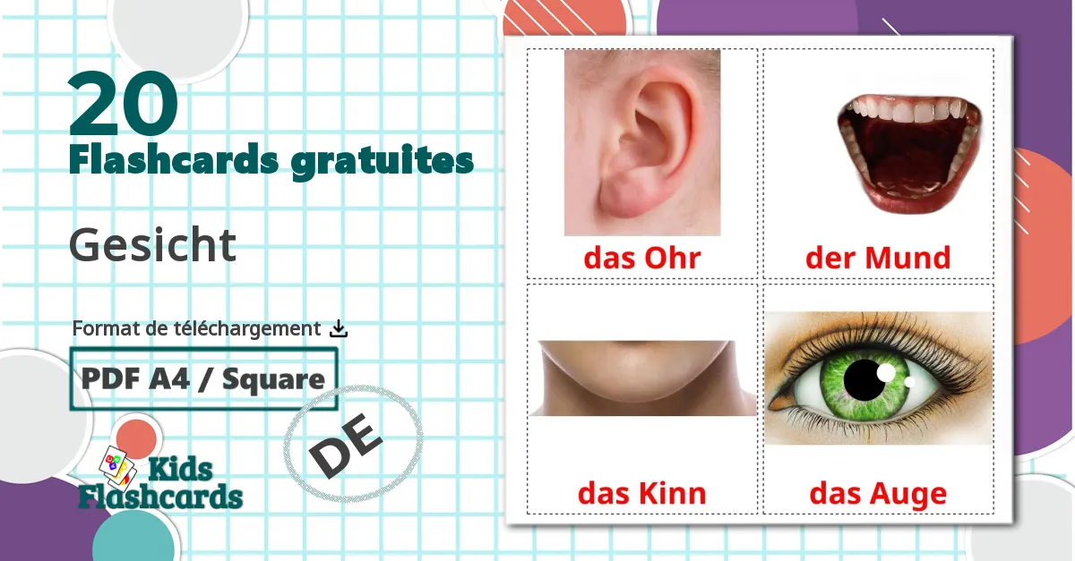 Parties du Visage - cartes de vocabulaire allemand