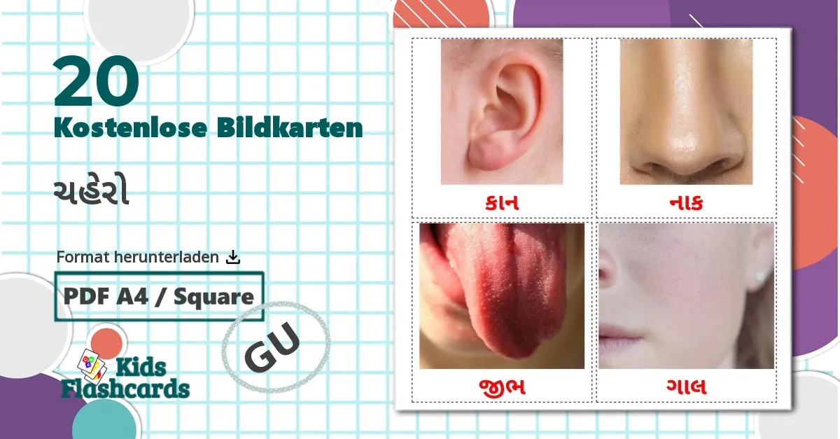 20 Bildkarten für Gesicht