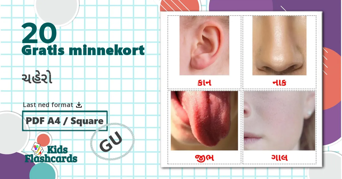 20 ચહેરો bildekort