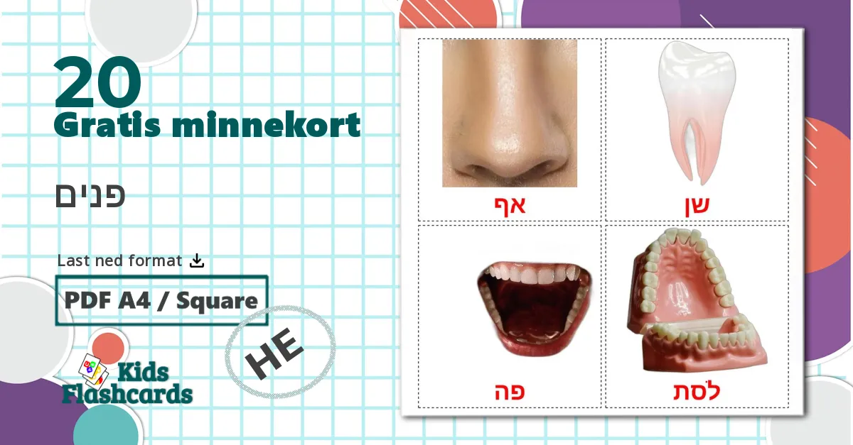 20 פנים bildekort