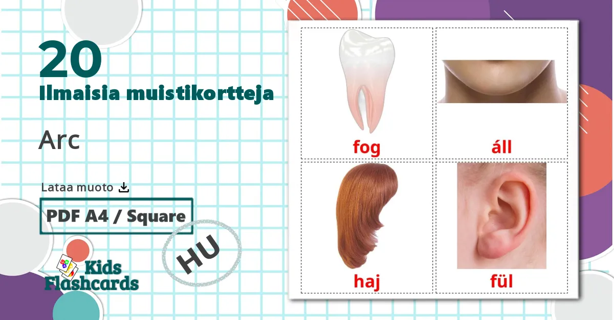 20 Arc lasten kuvakortit