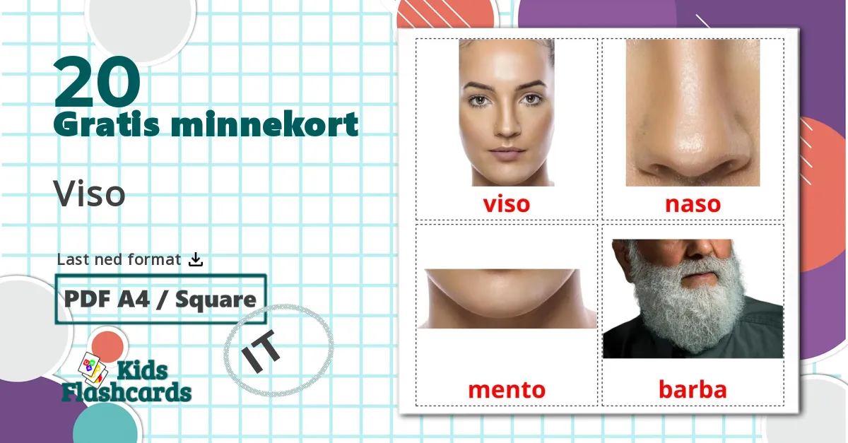 20 Viso bildekort