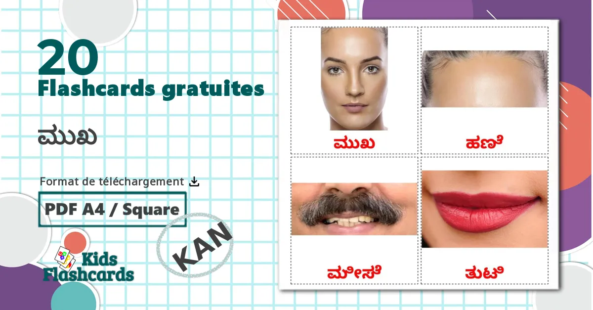 20 Imagiers Parties du Visage