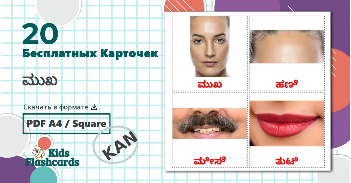 20 Карточки Домана Лицо
