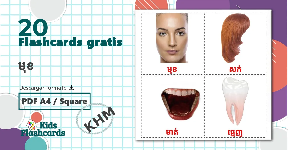 20 tarjetas didacticas de Partes de la Cara