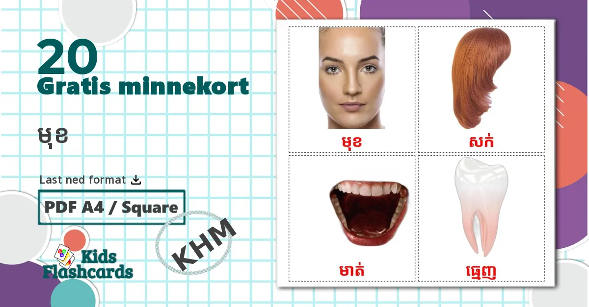20 មុខ bildekort