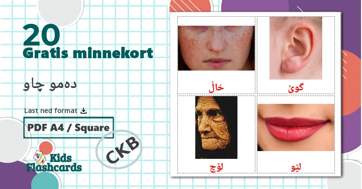 20 دەمو چاو bildekort