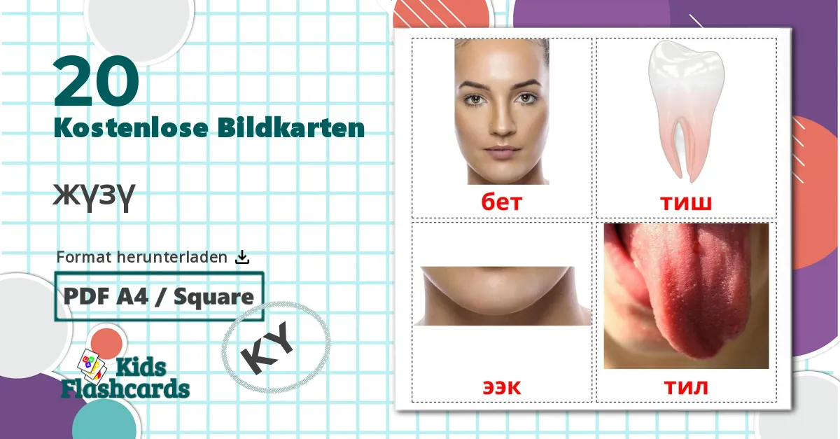 20 Bildkarten für Gesicht