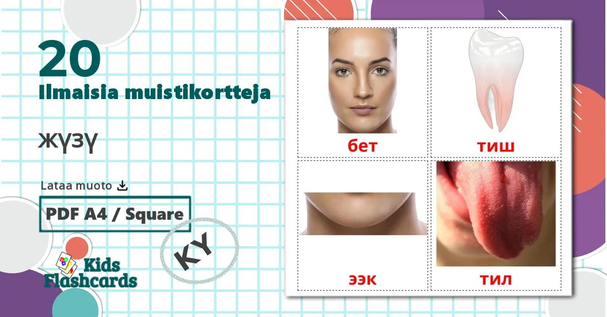 20 Kasvot lasten kuvakortit