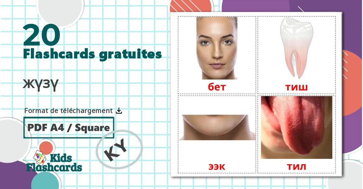 20 Imagiers Les Verbes d'Action