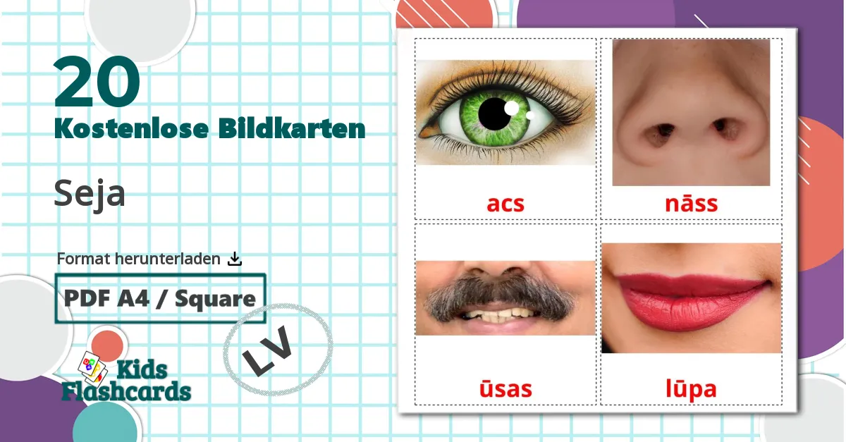 20 Bildkarten für Seja