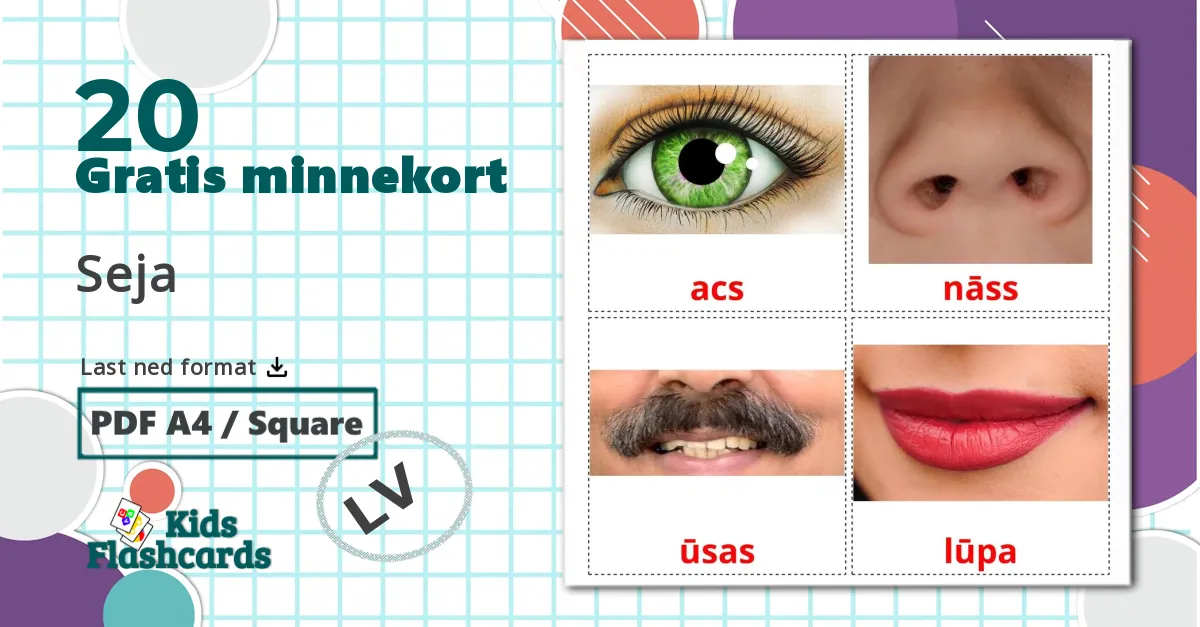 20 Seja bildekort
