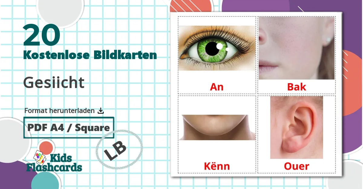 20 Bildkarten für Gesiicht