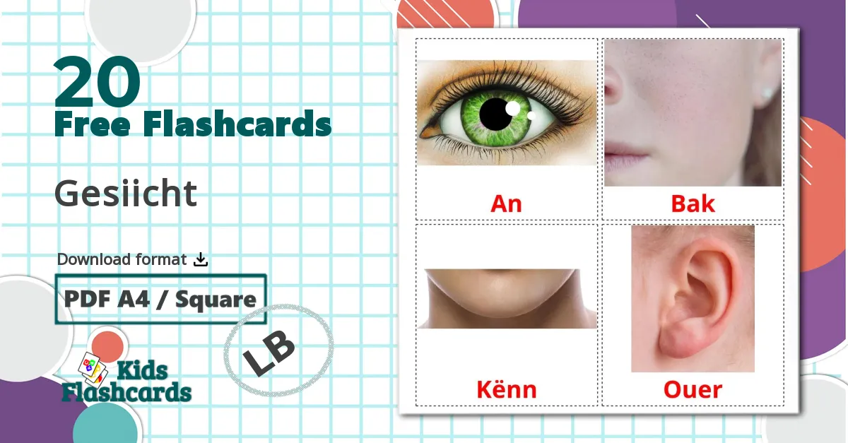 20 Gesiicht flashcards