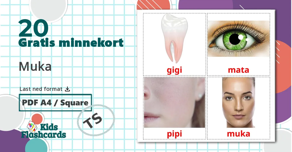 20 Muka bildekort