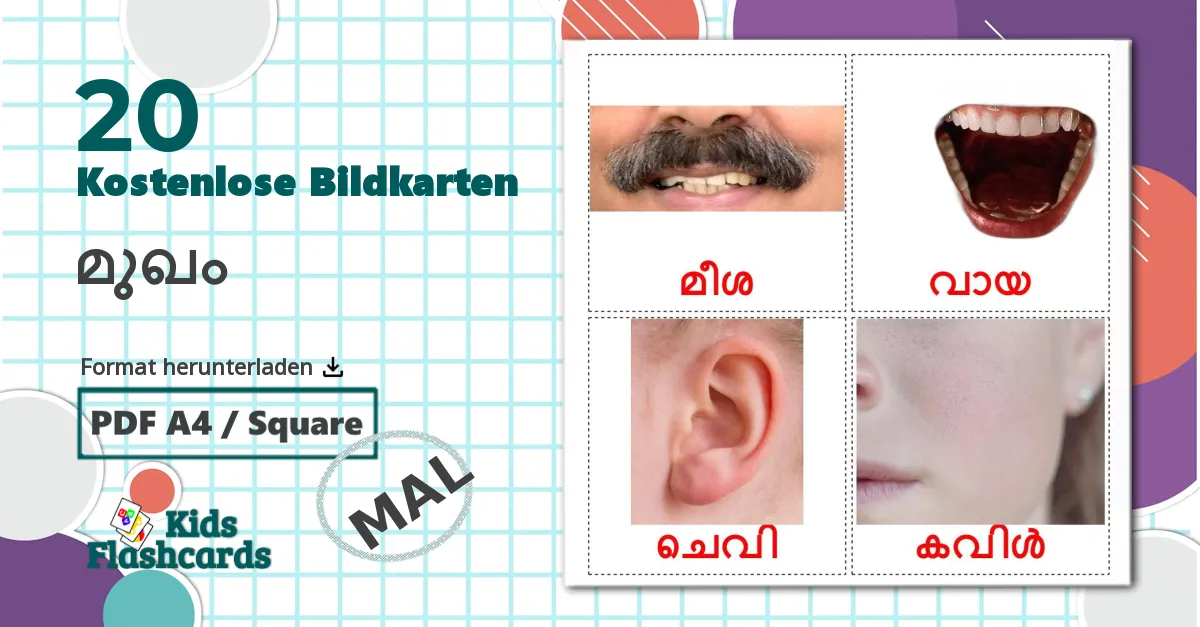 20 Bildkarten für മുഖം