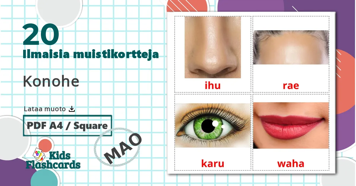 20 Konohe lasten kuvakortit