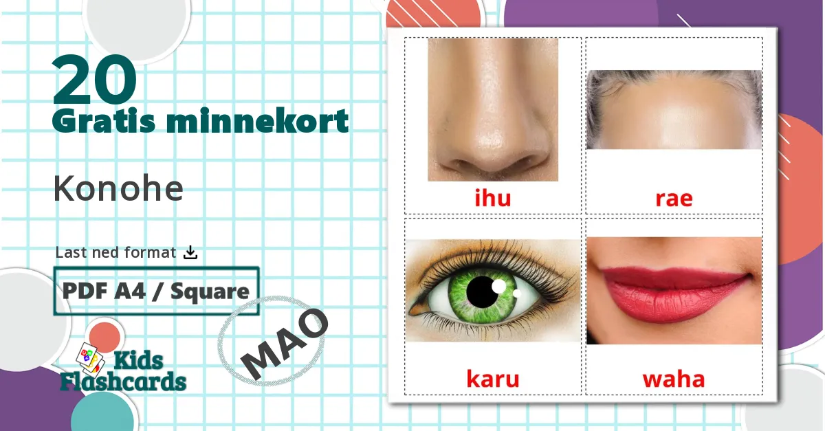 20 Konohe bildekort