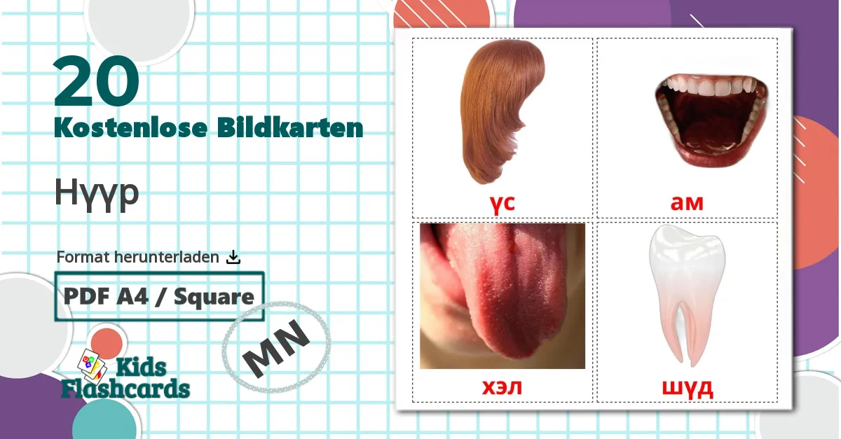 20 Bildkarten für Нүүр