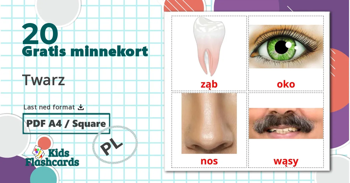 20 Twarz bildekort