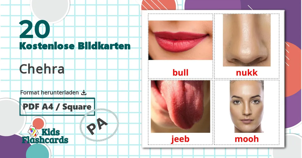 20 Bildkarten für Nutztiere