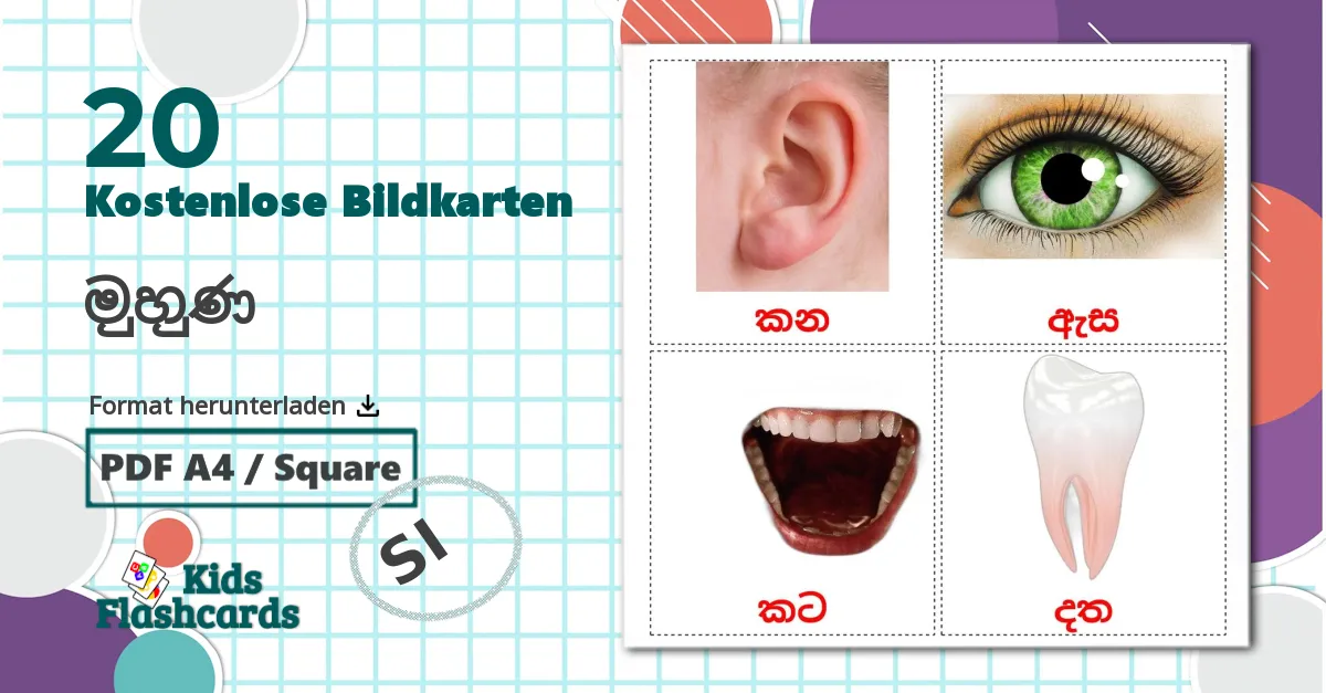 20 Bildkarten für මුහුණ