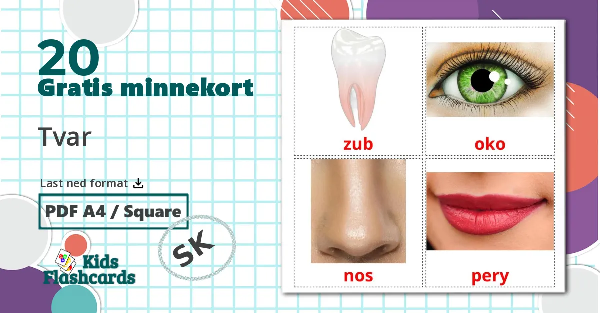 20 Tvar bildekort