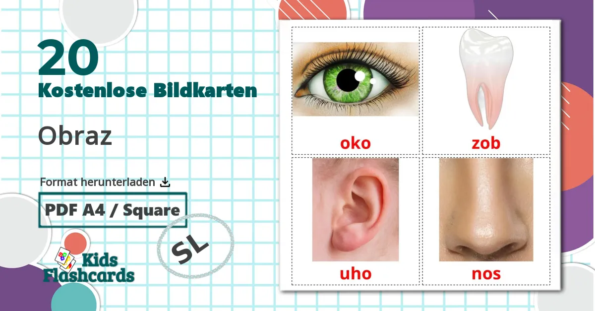 20 Bildkarten für Obraz