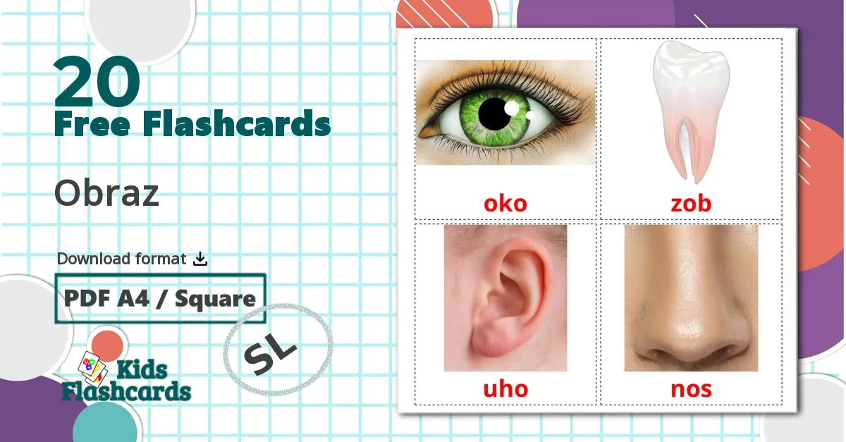 20 Obraz flashcards