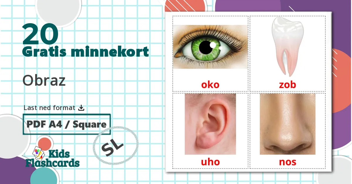 20 Obraz bildekort