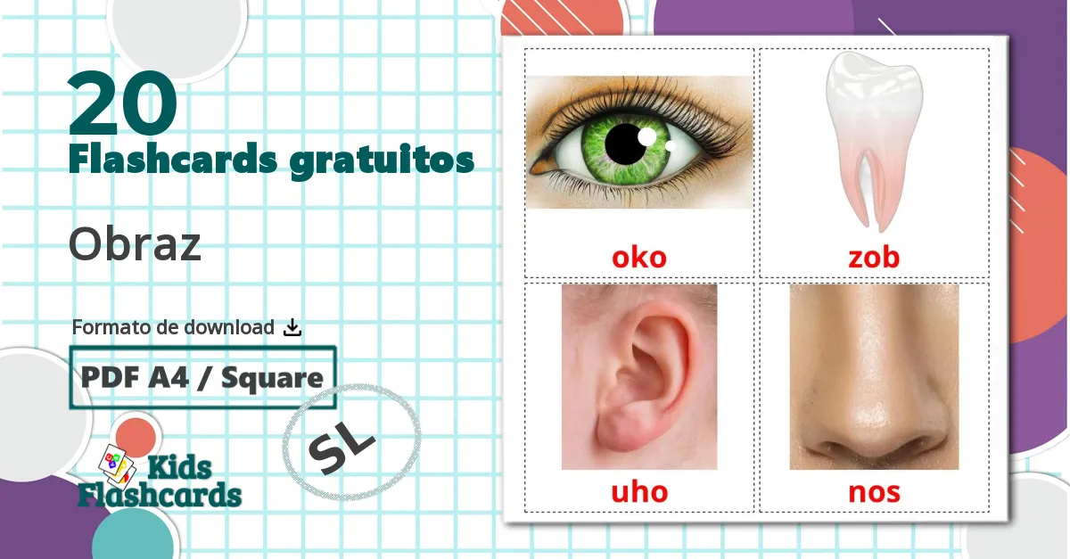 20 Flashcards de Obraz