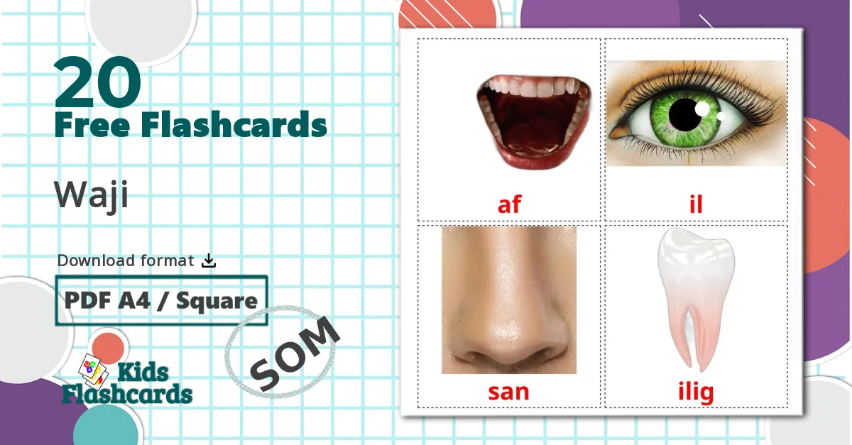 20 Face flashcards