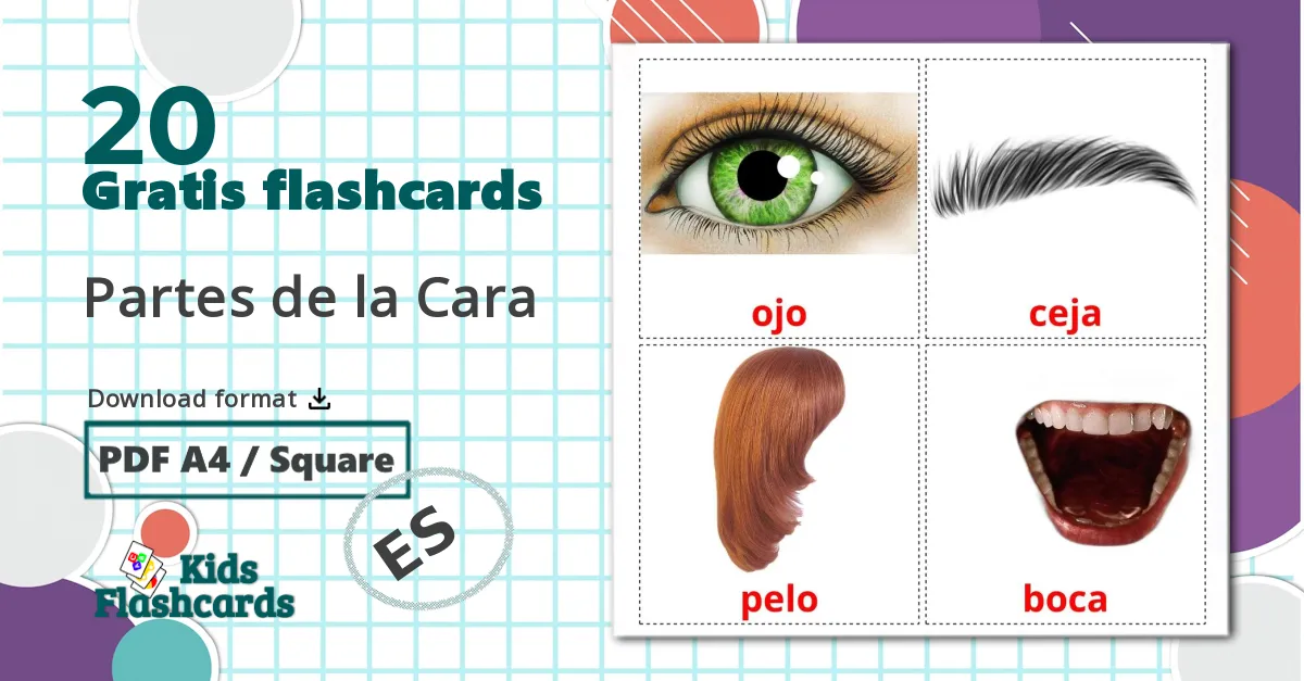 20 Partes de la Cara billedkort for børn