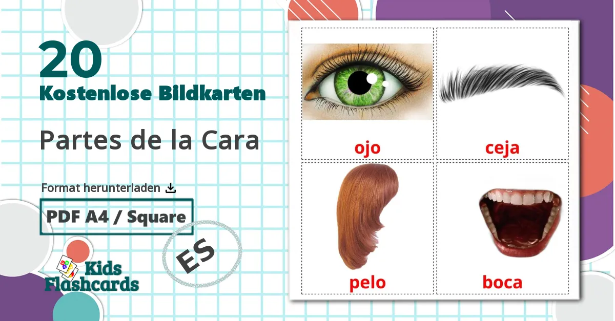 20 Bildkarten für Partes de la Cara