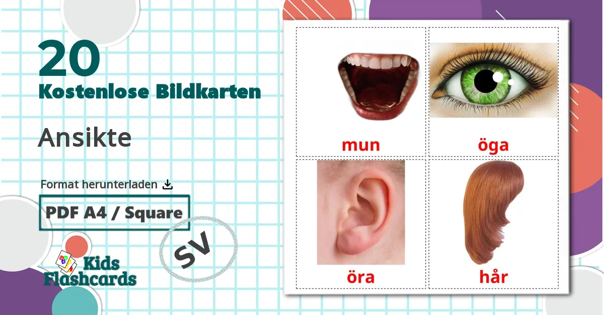 20 Bildkarten für Ansikte