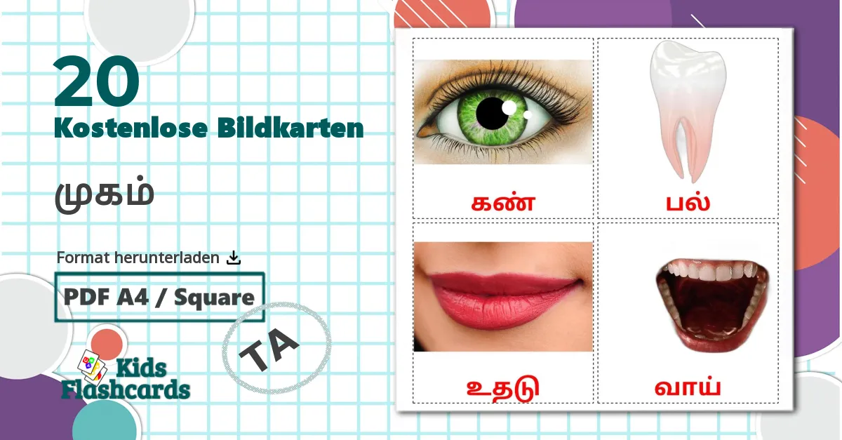 20 Bildkarten für முகம்