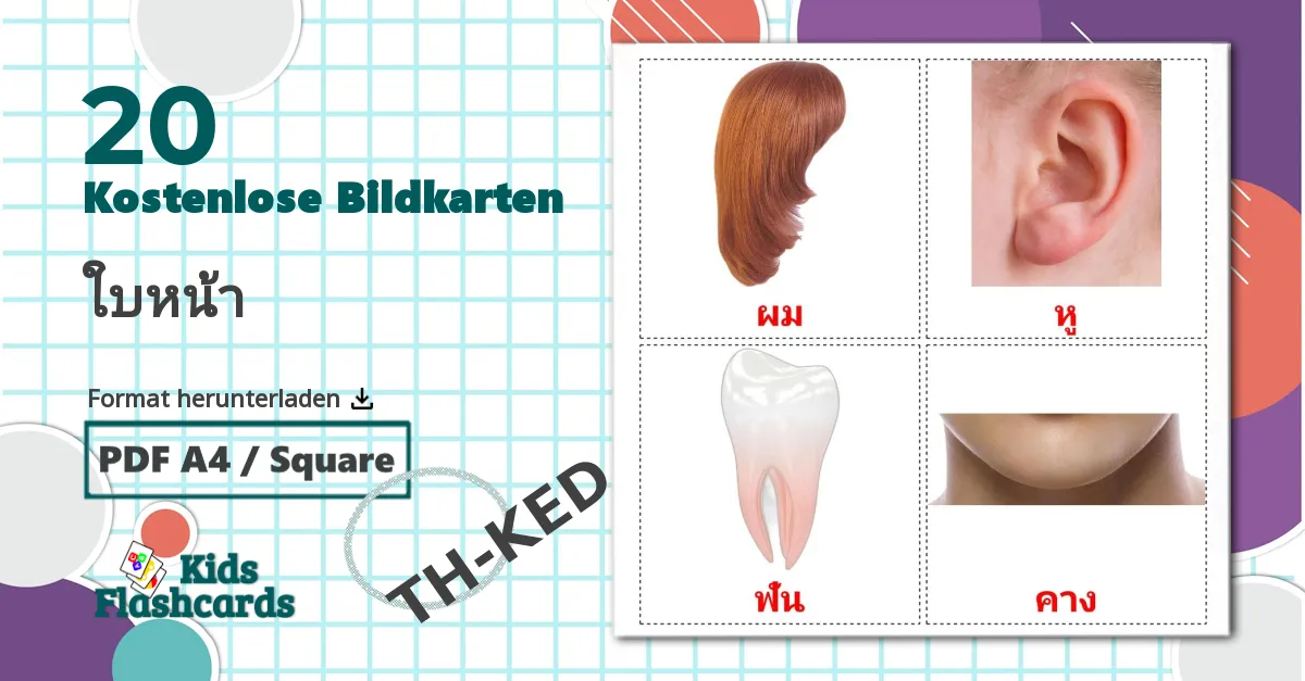 20 Bildkarten für ใบหน้า