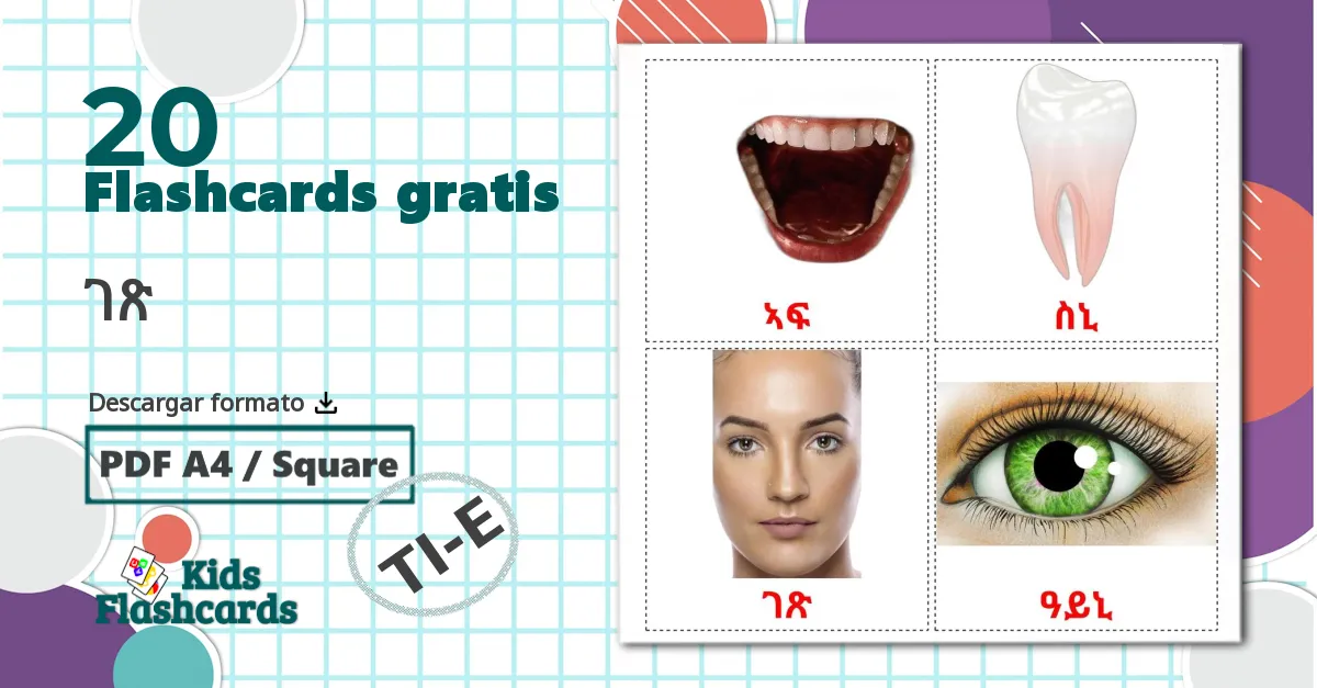 20 tarjetas didacticas de ገጽ