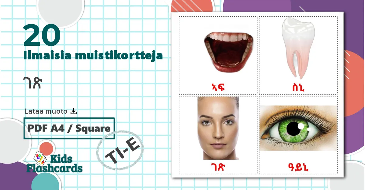 20 ገጽ lasten kuvakortit