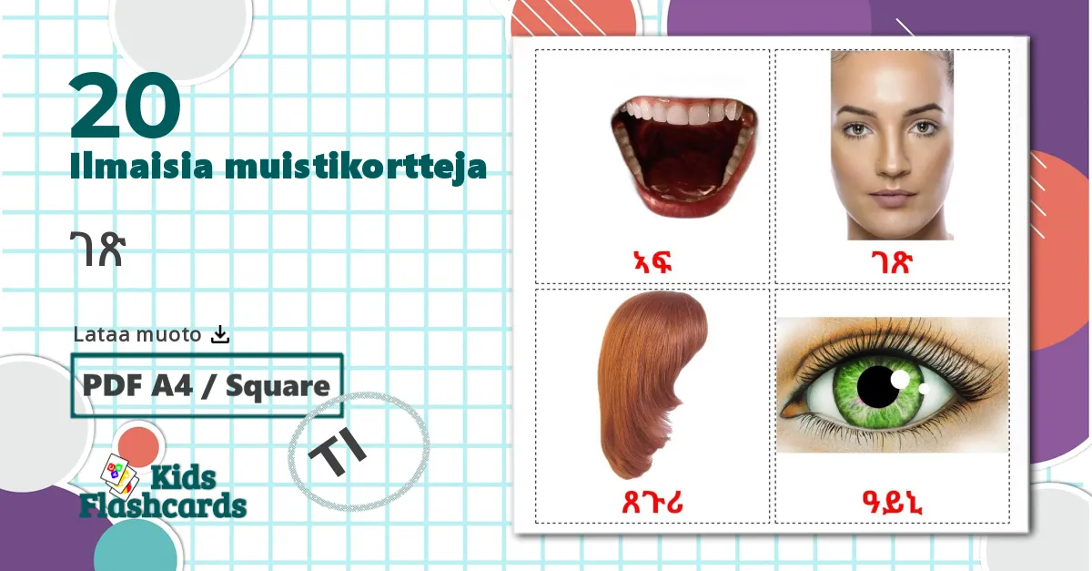 20 ገጽ lasten kuvakortit