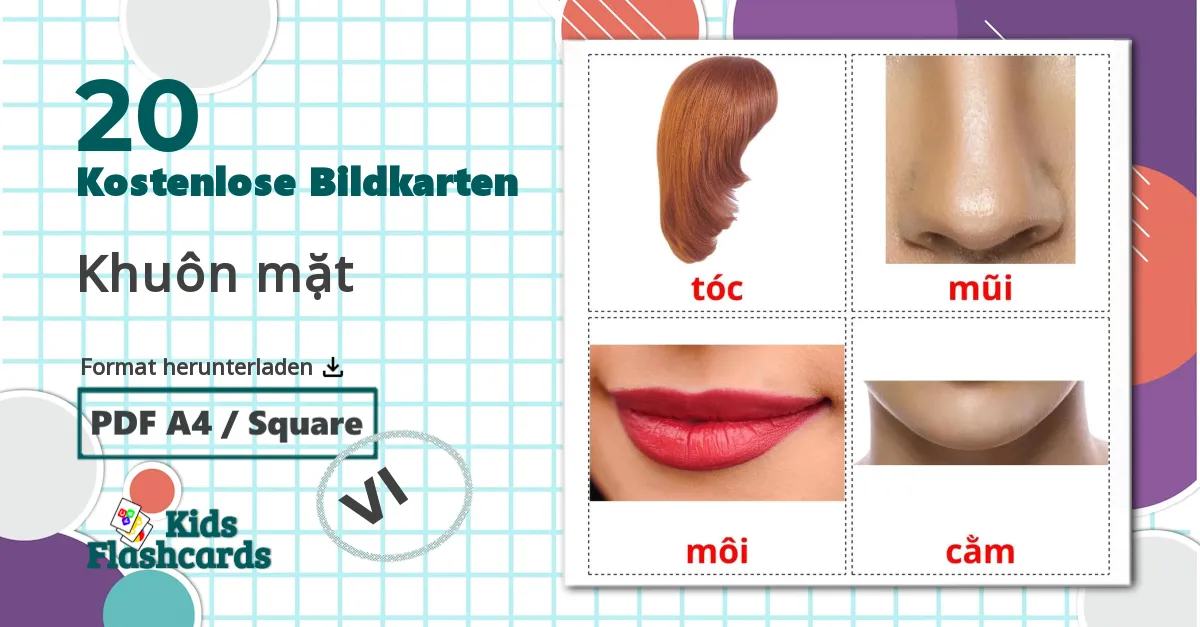 20 Bildkarten für Khuôn mặt