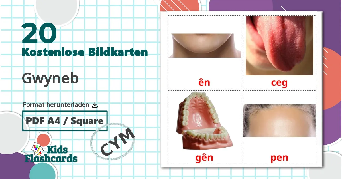 20 Bildkarten für Gesicht